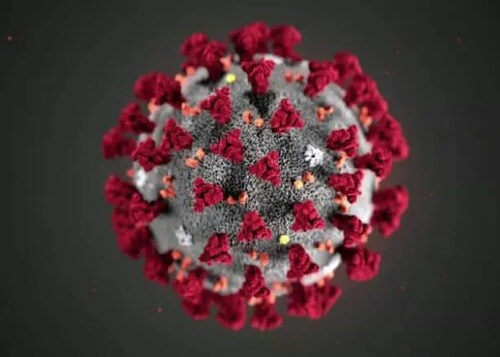 corona-virus