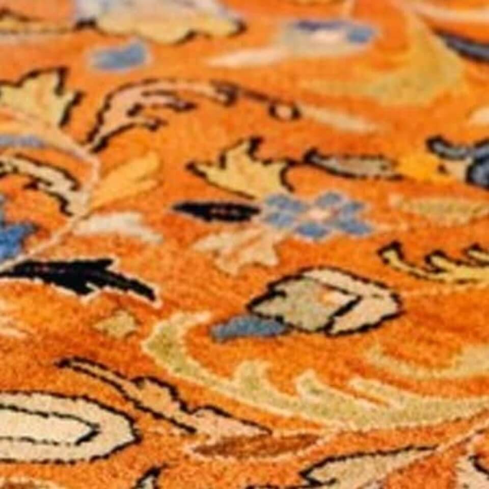 recommended-green-carpet-cleaning-service-in-portland